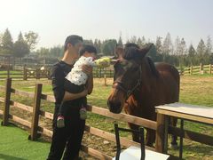 -田园东方蜜桃村的田野营地