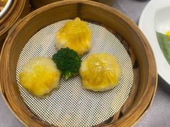 -东方御宴海鲜酒楼(棕泉酒店)