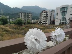 -北川老县城地震遗址