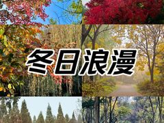 -洛阳市隋唐城遗址植物园