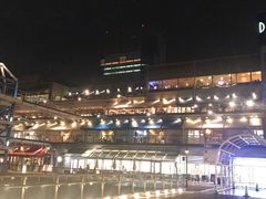-台场海滨公园船码头