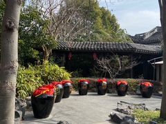 -巡塘古镇