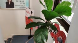 -朴荷皮肤管理中心