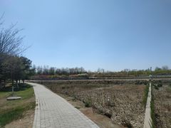 -大兴滨河森林公园