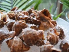 -南阳建业森林半岛假日酒店