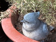 -小草屋轰趴馆别墅派对新场团建家庭聚会