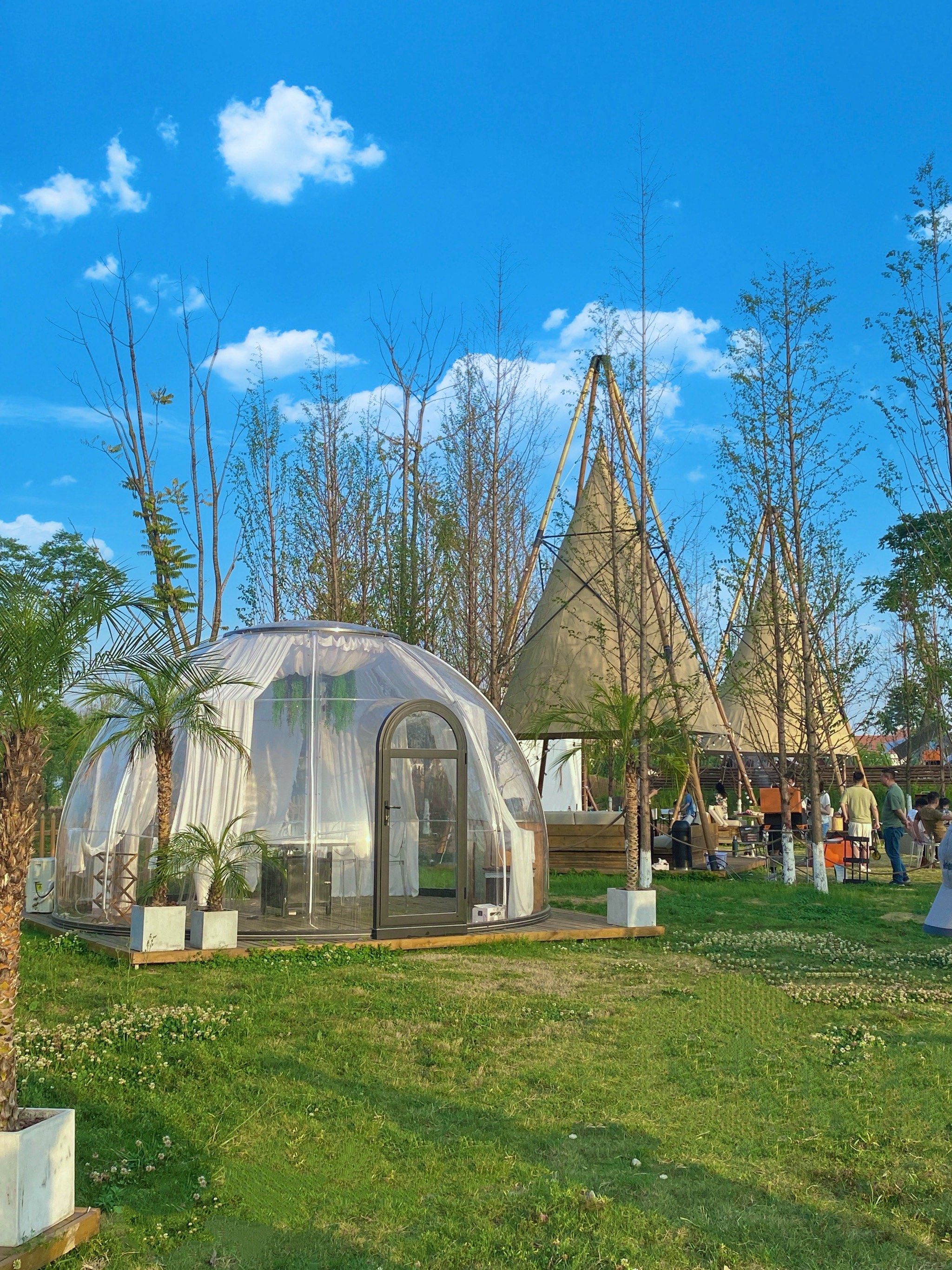 成都!春游!这个地方!绝了❗️