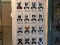 -喵屿·大理花园猫咖