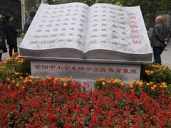 -大槐树寻根祭祖园
