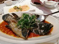 -强记海鲜·大排档(蛇口新街店)