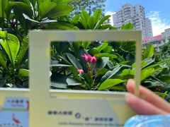 -广州花园酒店荔湾亭·地道点心·粤式饮茶