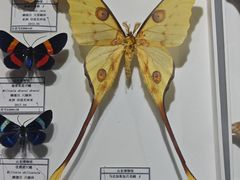 -烟台市博物馆