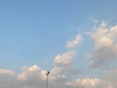 -上海滨江森林公园