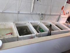 水产区-红灯笼龙凤饭店(宁波老字号店)