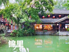 -成都大熊猫繁育研究基地