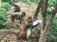 -黔灵山公园