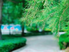 -黄村公园