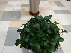 -鹏欣水游城