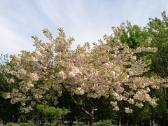-江南大学(蠡湖校区)