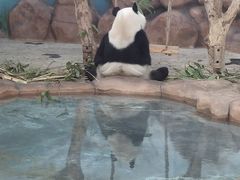 -南宁市动物园