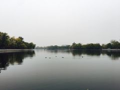 景点-什刹海-后海