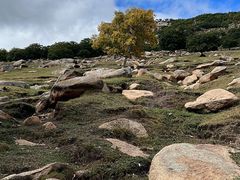 -克什克腾世界地质公园青山景区