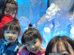 -海合安成都极地海洋公园