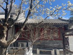 -潭柘寺景区