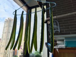 -巍阁高端月子会所