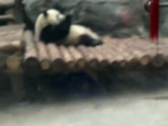 -鄂尔多斯野生动物园