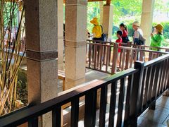 -九曲溪竹筏码头