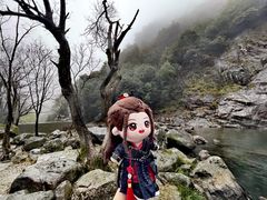-百杖潭景区