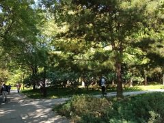 -玲珑塔公园