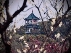-无锡梅园公园