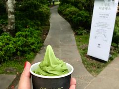 -雪绿茶博物馆