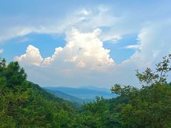 -广州白江湖森林公园