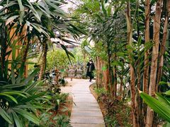 -南宫五洲植物乐园