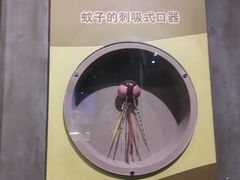 -天津自然博物馆