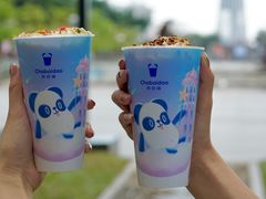 彩虹茉莉-茶百道(花城汇中区店)