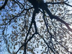 -成都市活水公园