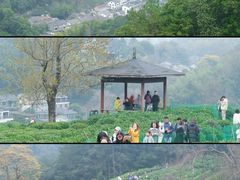 -西湖风景区十里琅珰-五云山