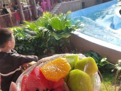 -苏州乐园森林水世界