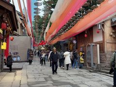 -重庆十八梯传统风貌区