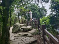 -缙云山景区