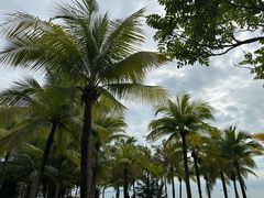 -三亚海棠湾喜来登度假酒店