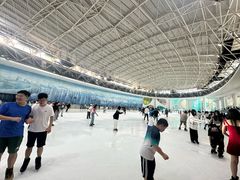 -世界之窗阿尔卑斯冰雪世界