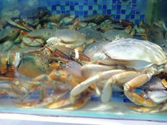 -欧记·龙城港(欣都店)