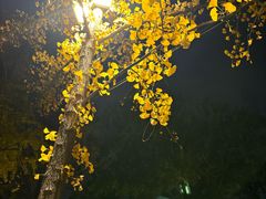 -脚下咖啡·CHILL酒馆(灵光东巷店)