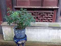 -东山雕花楼