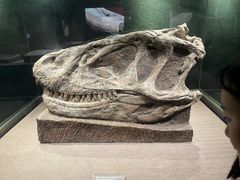 -自贡恐龙博物馆